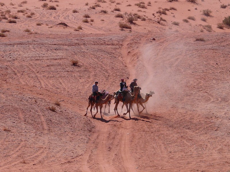 Wadi Rum (65).jpg